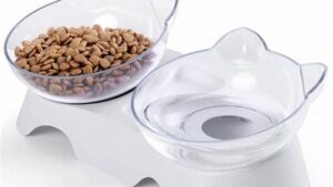 Best Cat Bowls, Guide to Purrfect Dining Best Cat Bowls, Guide to Purrfect Dining