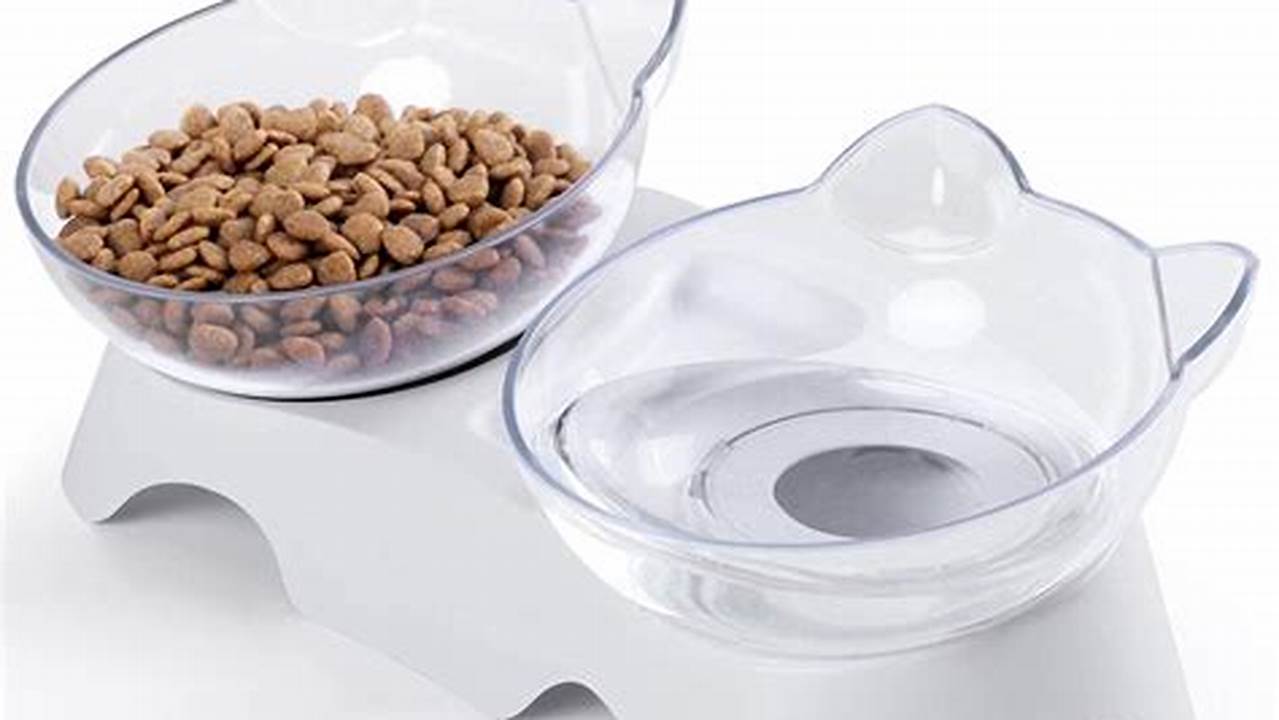 Best Cat Bowls, Guide to Purrfect Dining Best Cat Bowls, Guide to Purrfect Dining