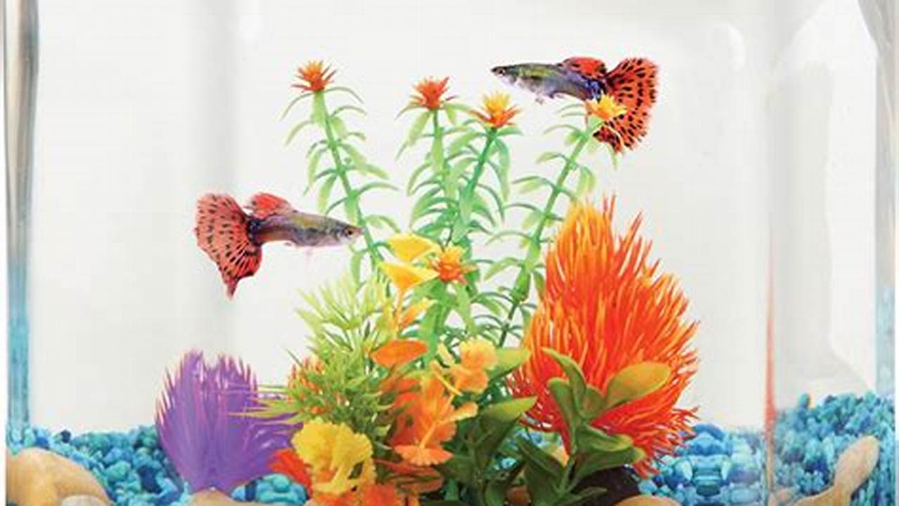 Best Fish Bowls, Guide & Top Picks Best Fish Bowls, Guide & Top Picks