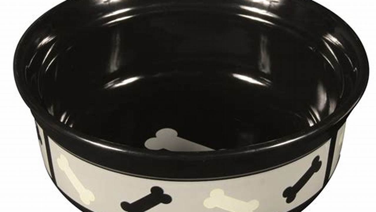 Best Ceramic Dog Bowls, Durable & Stylish