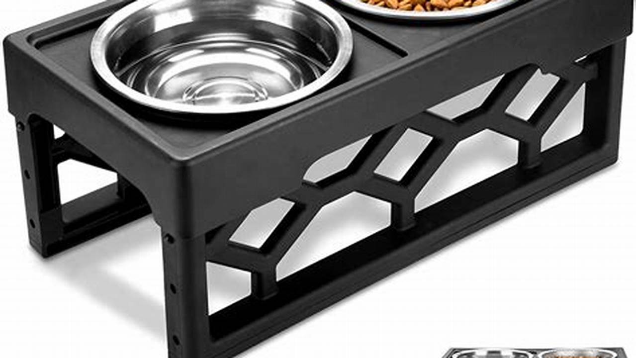 Elevated Dog Bowls, Healthier Eating for Happier Pups Elevated Dog Bowls, Healthier Eating for Happier Pups